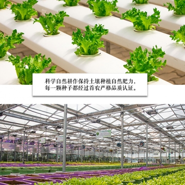北京新鲜蔬菜「月卡4次」北京地区配送