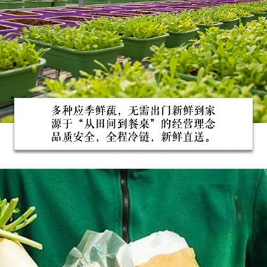 北京新鲜蔬菜配送「半年卡24次」北京配送
