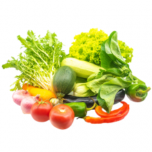 特菜A礼盒/绿色蔬菜/蔬菜基地直供